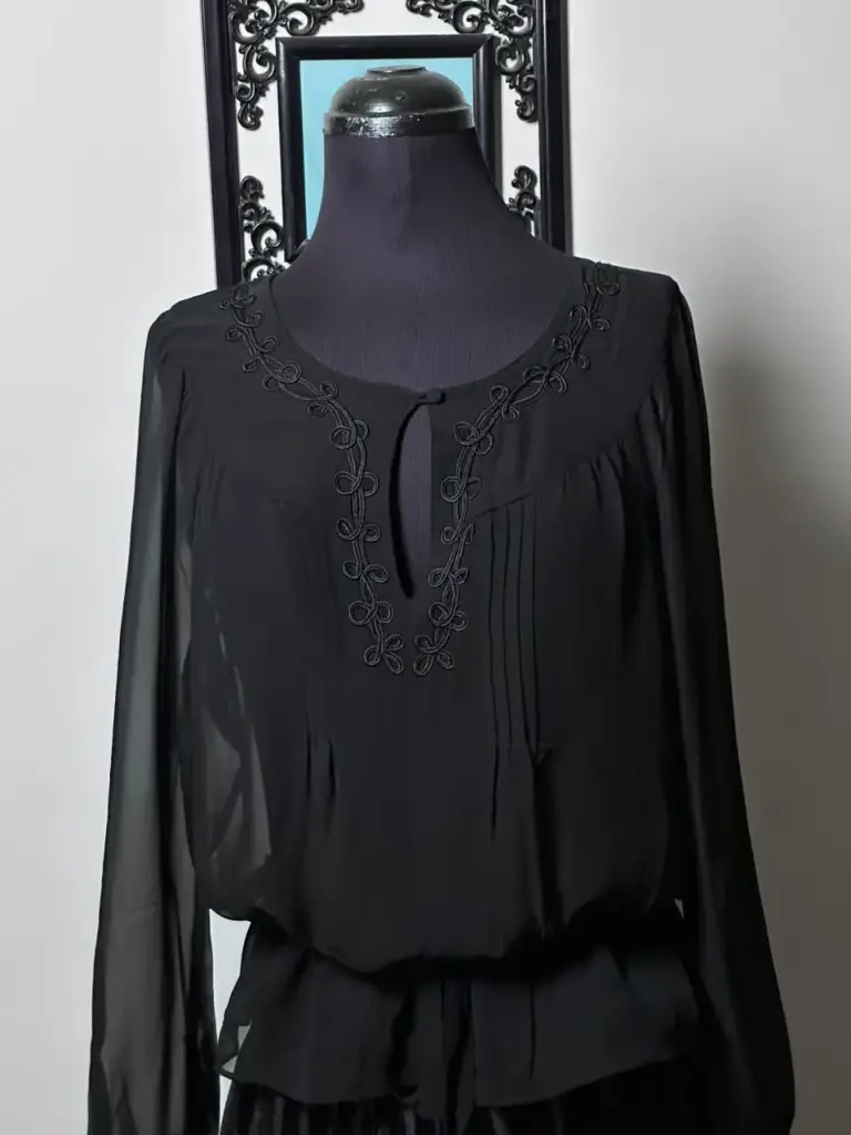 Black Sheer Chiffon with Intricate Embroidery