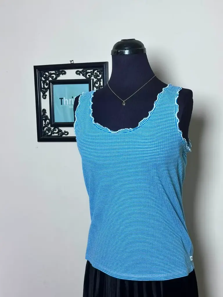Blue Stripped Top