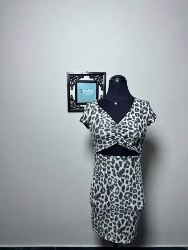 Leopard Print Dress 